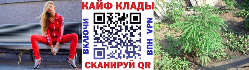 Наркошоп купить МАРИХУАНА  Cocaine  Гашиш  APVP  Меф мяу мяу  Волгодонск