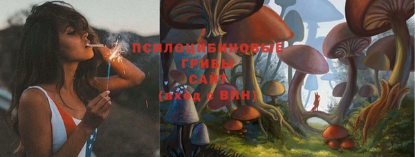 молекула духа Коряжма