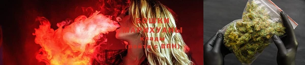 молекула духа Коряжма