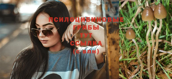 молекула духа Коряжма