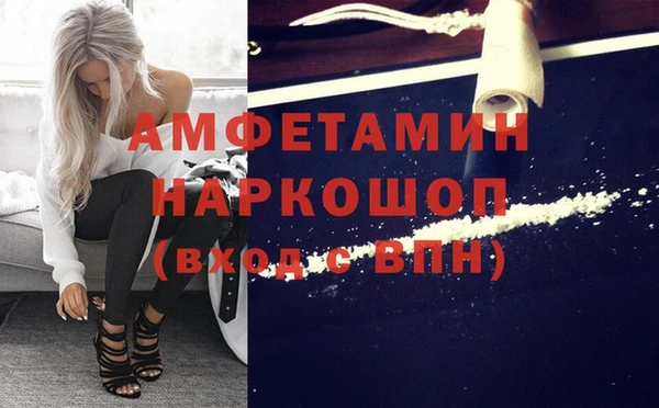 молекула духа Коряжма